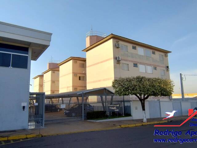 #Ap 0037 - Apartamento para Venda em Birigui - SP - 2