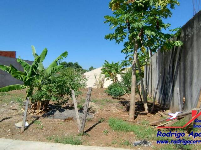 #TO 0021 - Terreno para Venda em Birigui - SP - 3