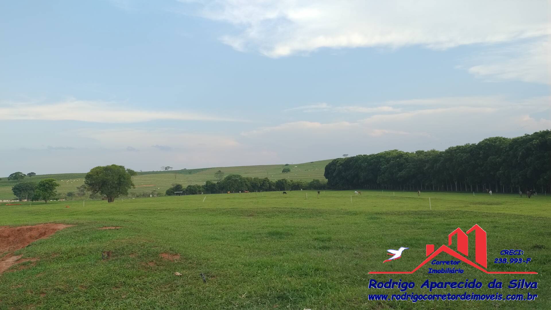 Sítio, 3 quartos, 2 m² - Foto 24