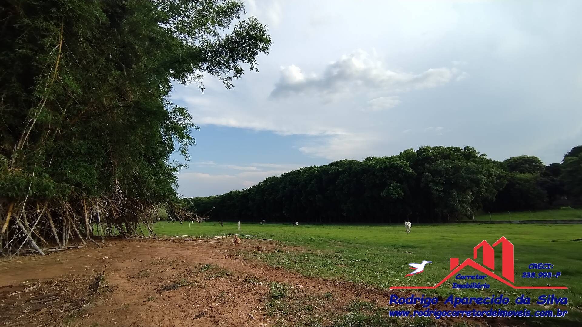 Sítio, 3 quartos, 2 m² - Foto 32