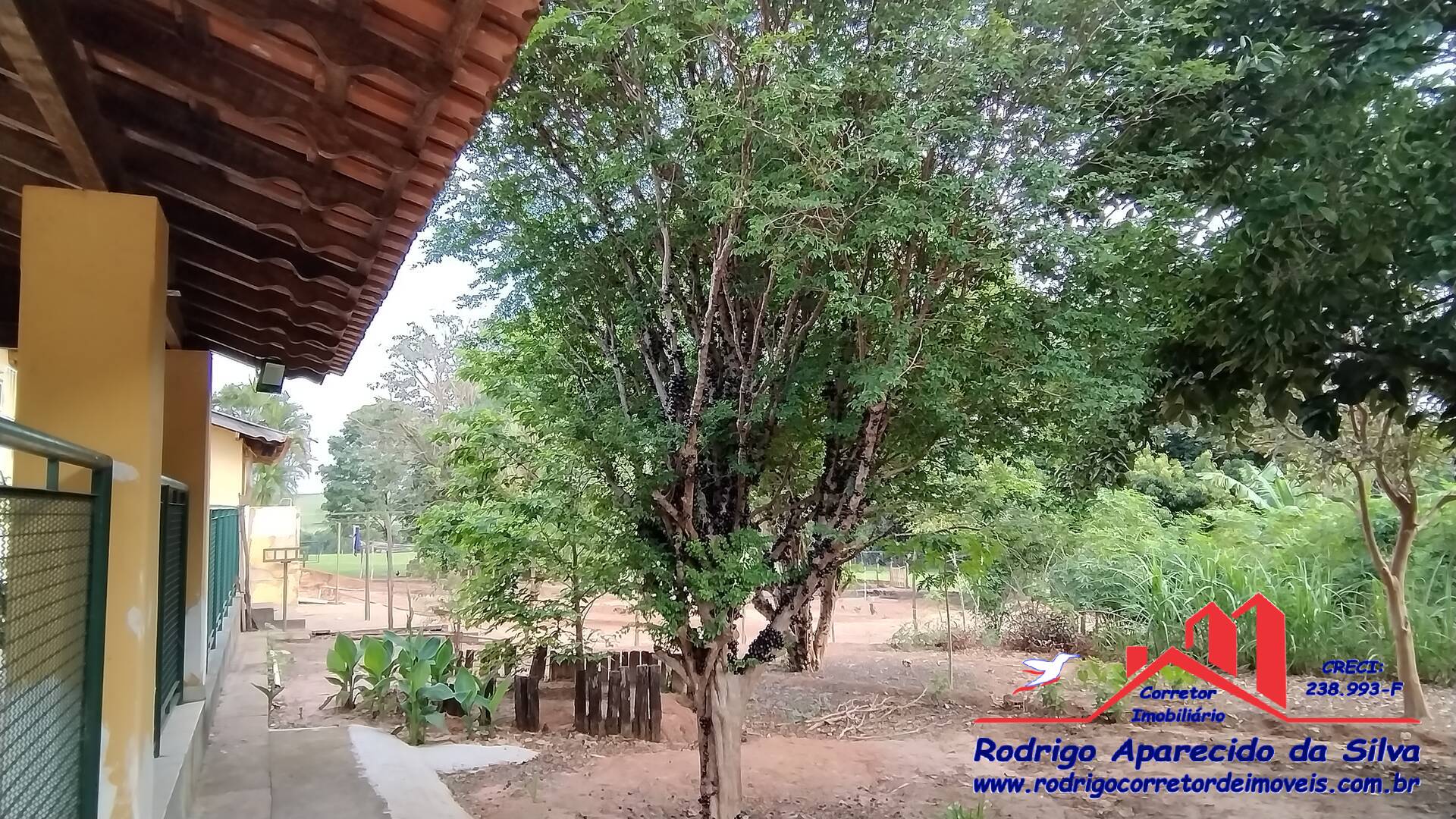 Sítio, 3 quartos, 2 m² - Foto 15