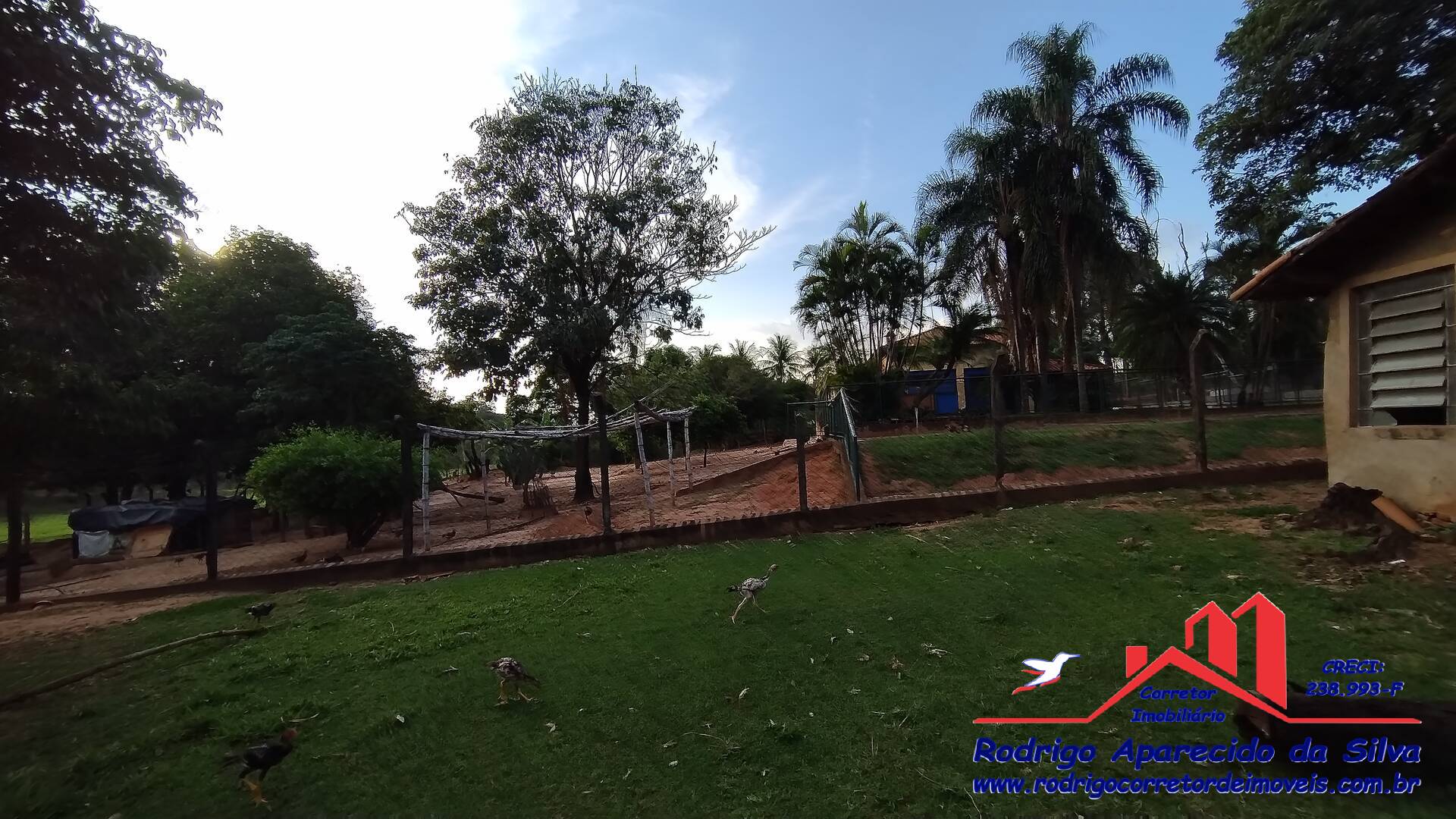 Sítio, 3 quartos, 2 m² - Foto 35