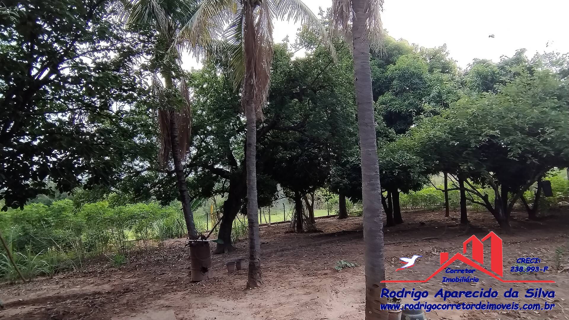 Sítio, 3 quartos, 2 m² - Foto 39